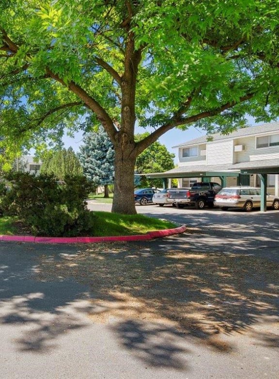 Sugar Pine Apartments in Boise, ID